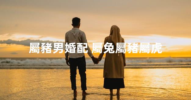 屬豬男婚配 屬兔屬豬屬虎